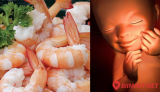 Bà Bầu Ăn Tôm Có Tốt Không? Có Ảnh Hưởng Em Bé Không?