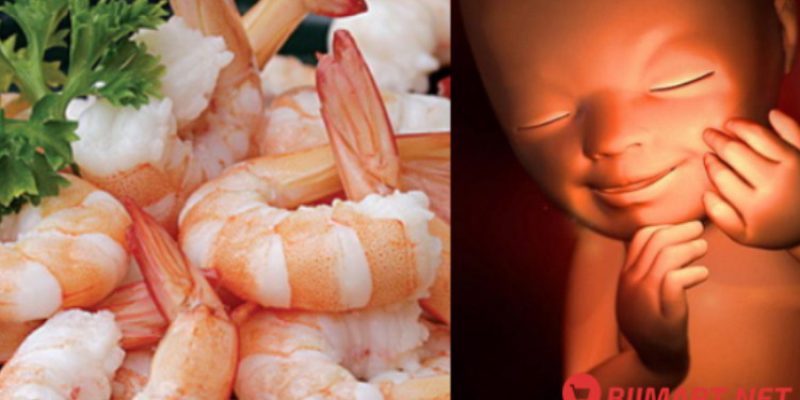 Bà Bầu Ăn Tôm Có Tốt Không? Có Ảnh Hưởng Em Bé Không?