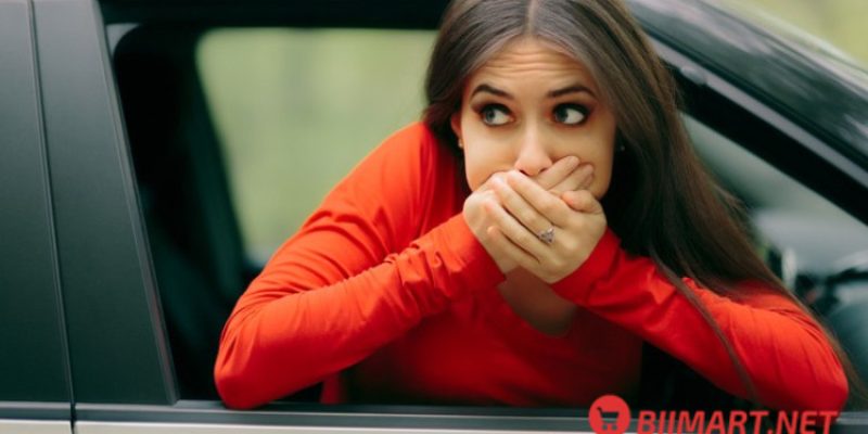 10+ Mẹo Chống Say Xe Ô Tô, Máy Bay Hiệu quả Tức thì