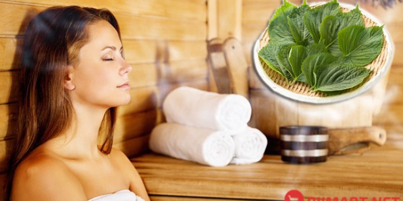 5 Cách Xông Mặt Bằng Lá Tía Tô Trị mụn, Sáng da