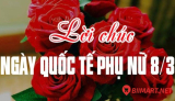Lời Chúc 8/3 Hay Ý Nghĩa Đến Nửa Kia Của Thế Giới