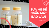 Sữa mẹ để ngăn mát được bao lâu? Bảo quản sữa mẹ đúng cách