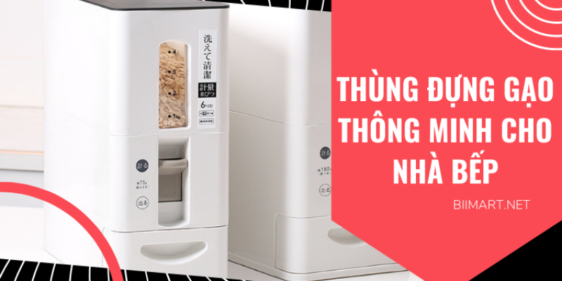 # 4 Thùng Đựng Gạo Thông Minh Tốt & Đa Năng Nhất